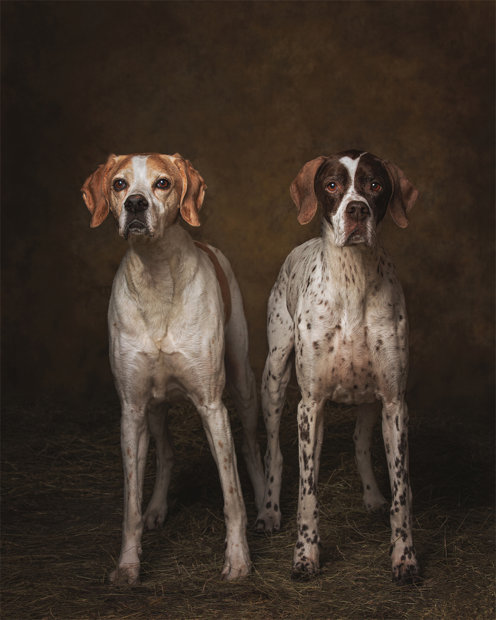 Pointer Sisters large